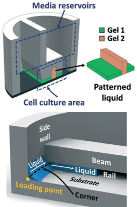 Robust High Reproducibility featured